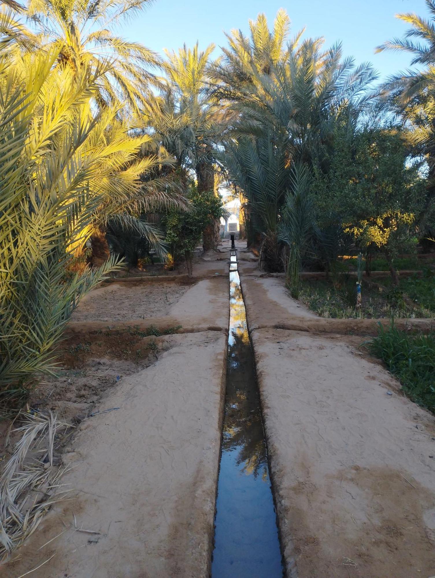 Maison Merzouga Guest House Exterior foto